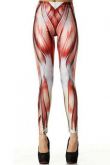 Legging Músculo Humano